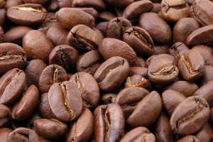 Coffee Beans For Sale