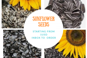 Selling Sunflower Seeds