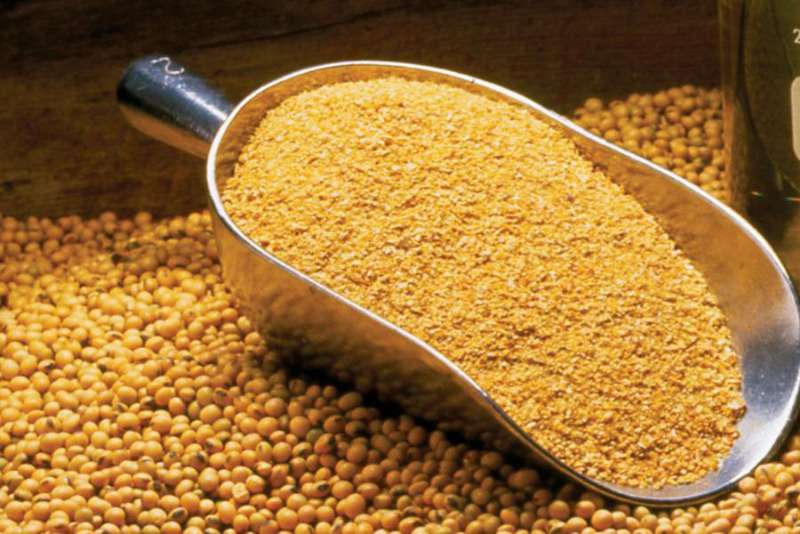 Soybean Meal For Sale