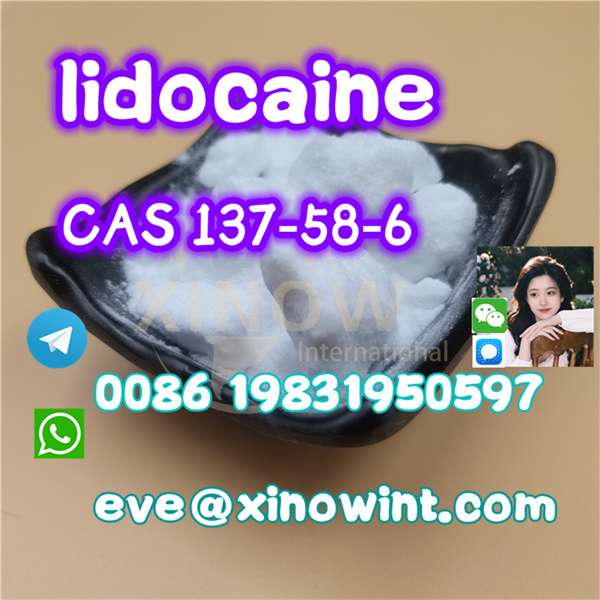 Australia Wholesale Pure Cas 137-58-6  Lidocaine Powder Price