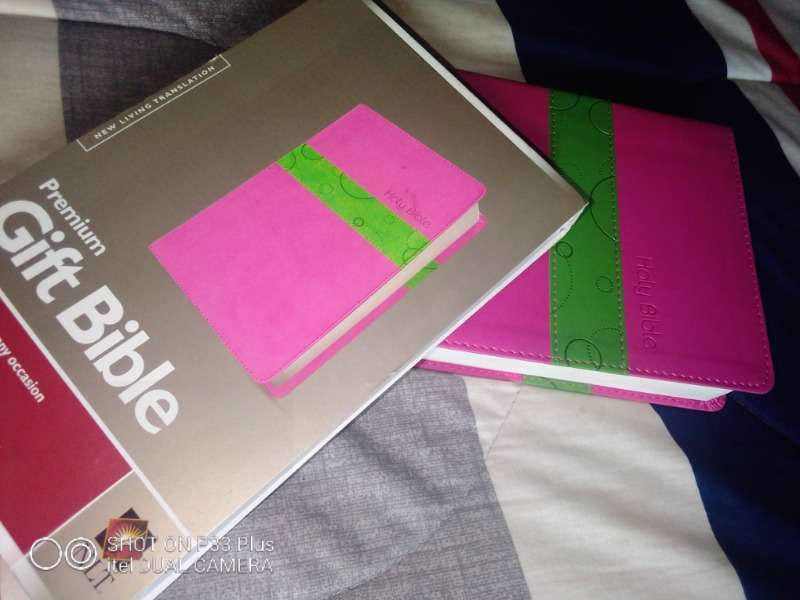 Bibles At Wholesale Prices