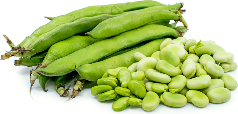Fava Beans For Sale