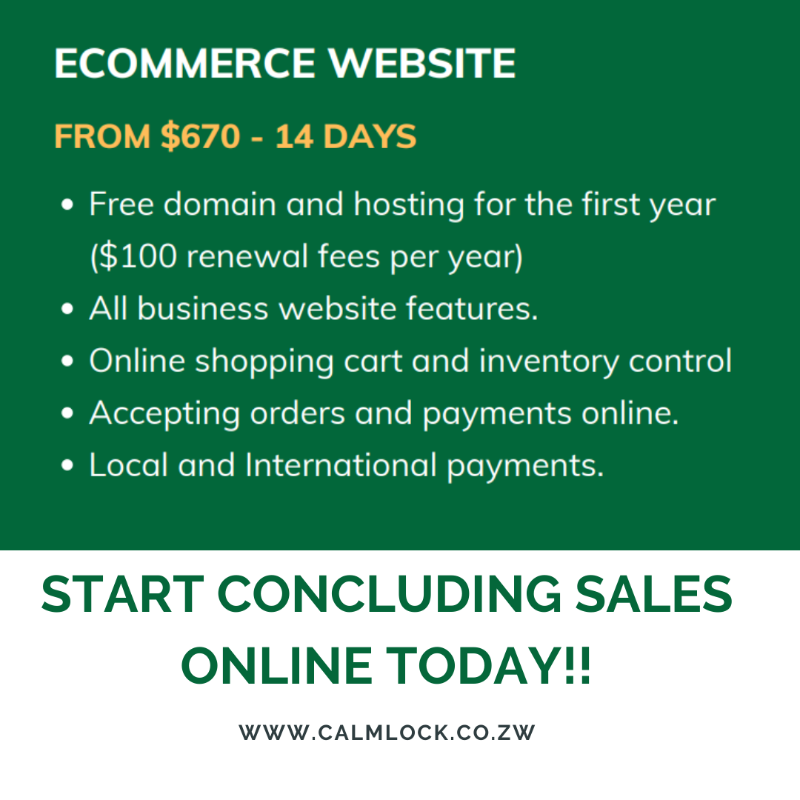 Ecommerce Website Design