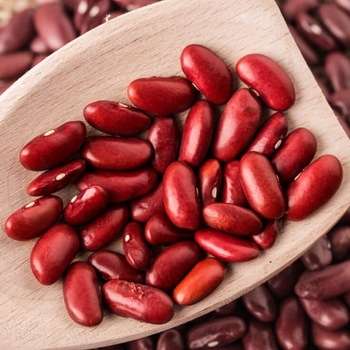Red Kidney Beans For Sale