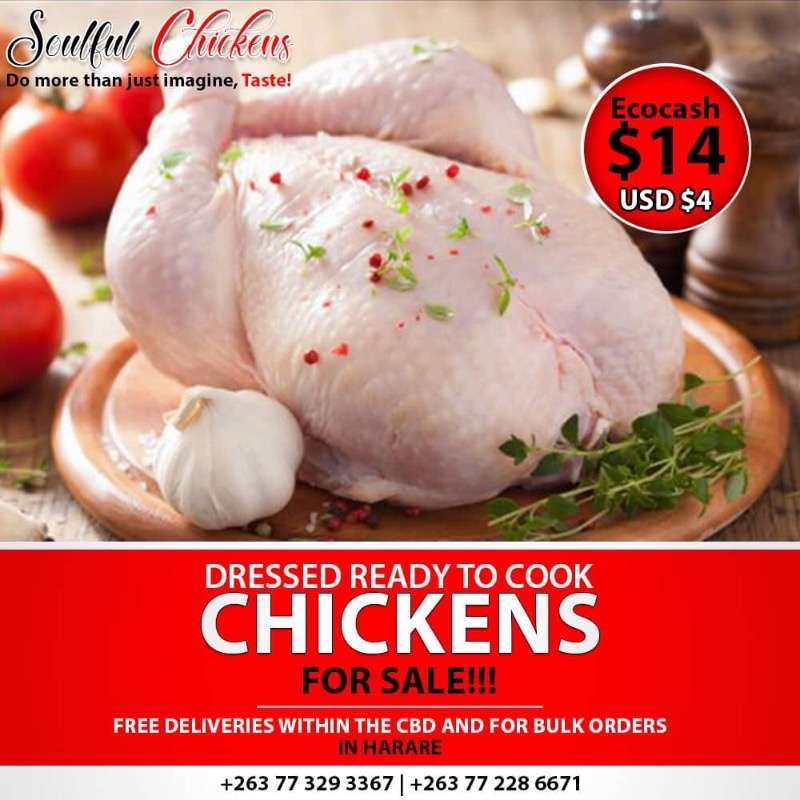 Dressed Chickens For Sale