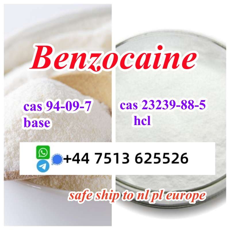 Cas 94-09-7 Benzocaine Base Powder Cas 23239-88-5 Benzocaine Hcl High Purity