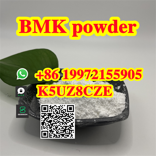 Bmk Glycidic Acid (sodium Salt) Cas 5449-12-7 In Stock