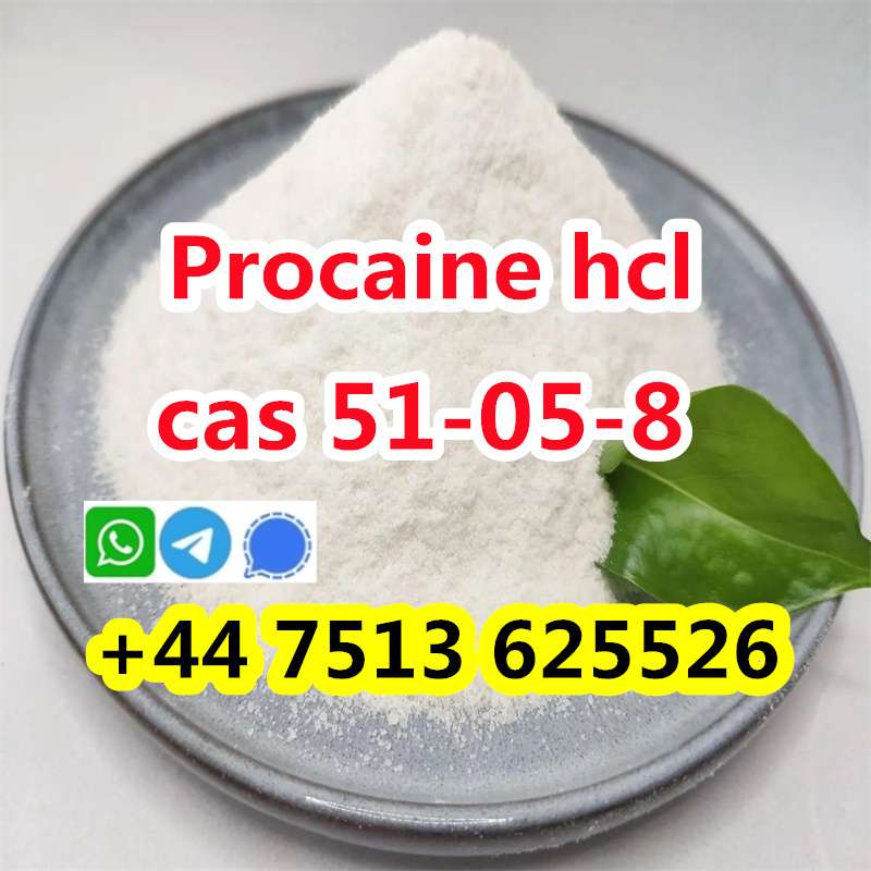 High Purity Cas 51-05-8 Procaine Hcl Procaine Hydrochloride