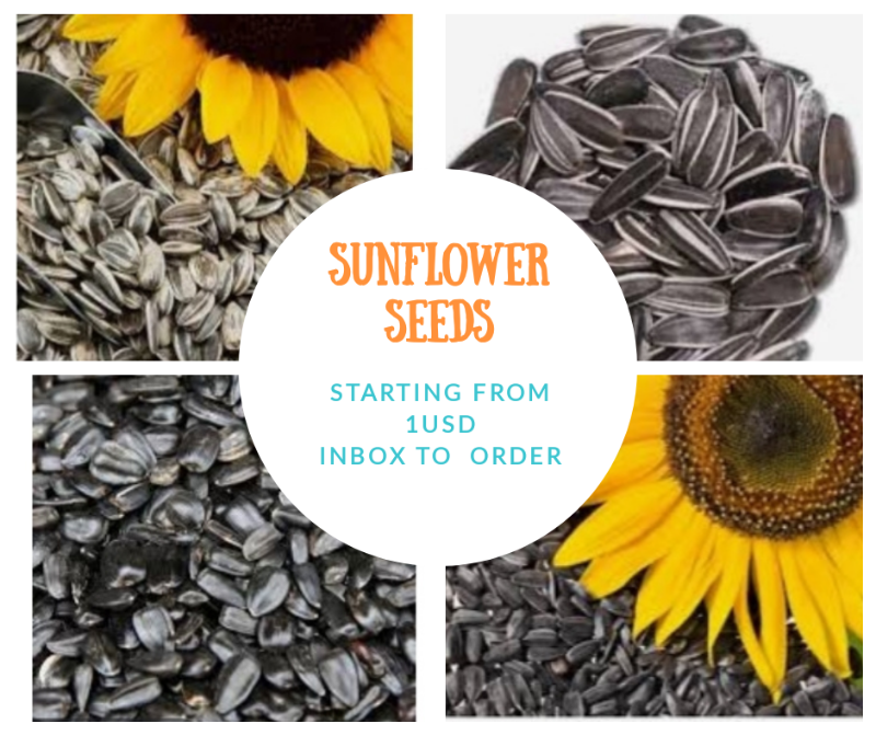 Selling Sunflower Seeds