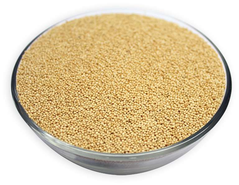 Amaranth Grains For Sale