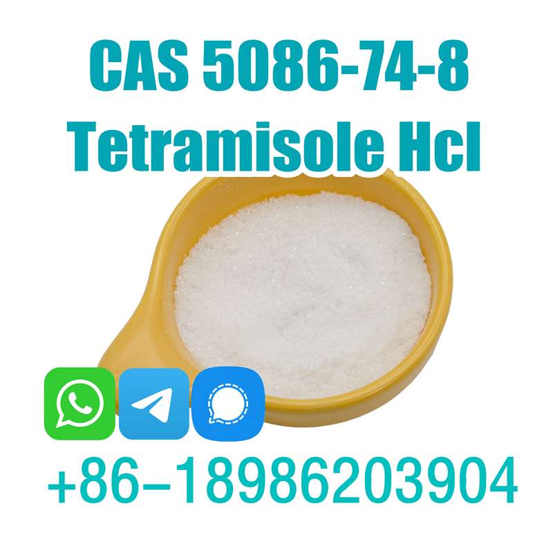 Tetramisole Cas 5086-74-8 Tetramisole Hydrochloride Tetramisole Hcl