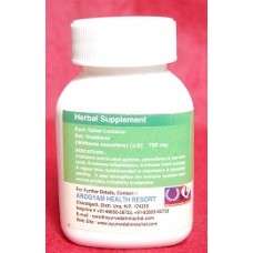 Papaya Leaf Extract Tablets - Arogyam Pure Herbs