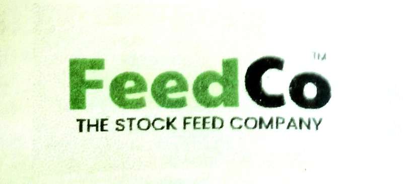 Chicken Feed