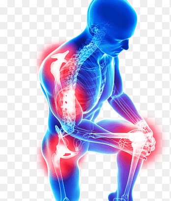 Natural Medicine For Joint And Back Pain