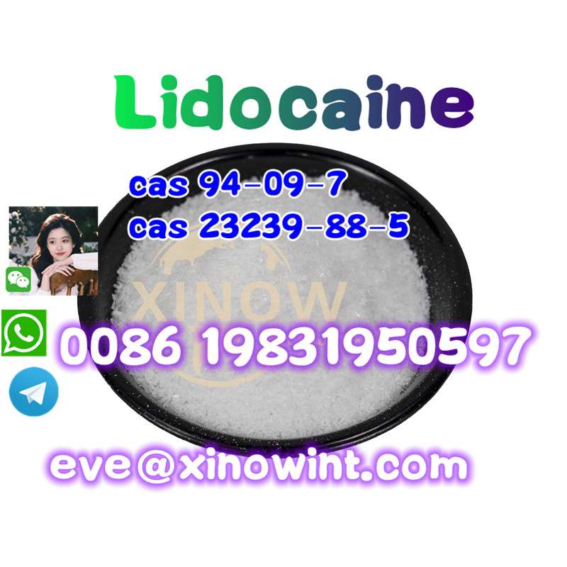 Australia Wholesale Pure Cas 137-58-6  Lidocaine Powder Price