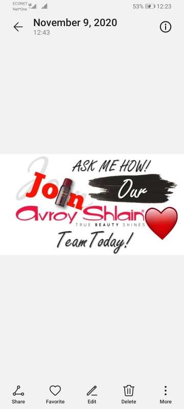 Avroy Shlain Recruitment