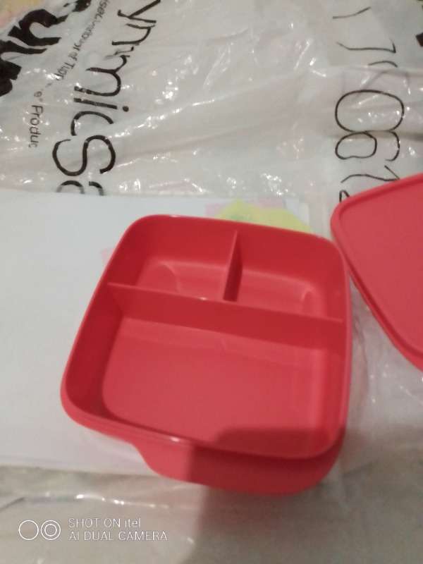 Tupperware Divided Lunchbox And 750mls Ecobottle