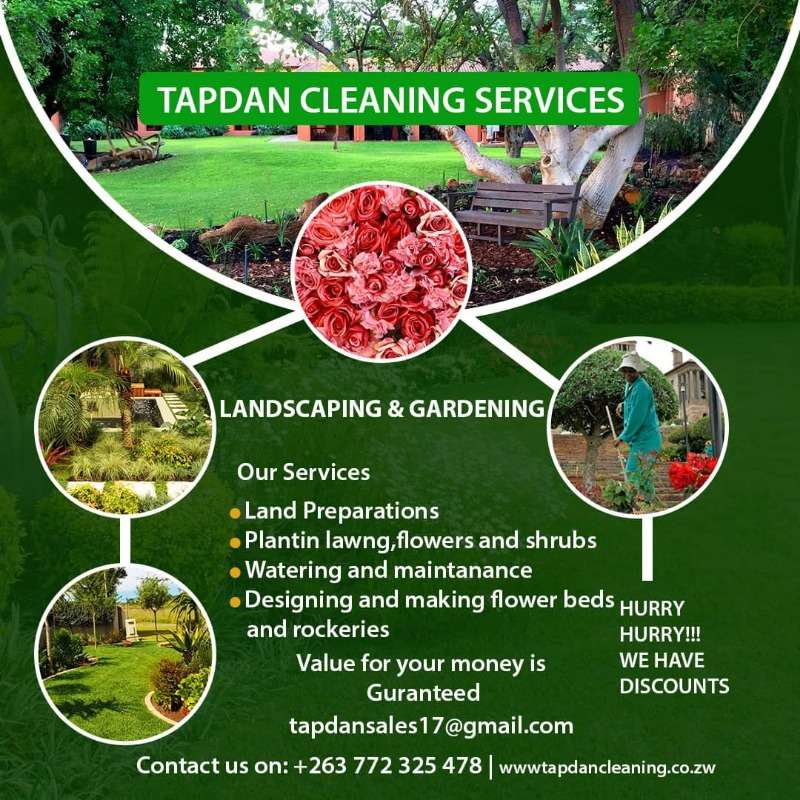 Tapdan Cleaning Services