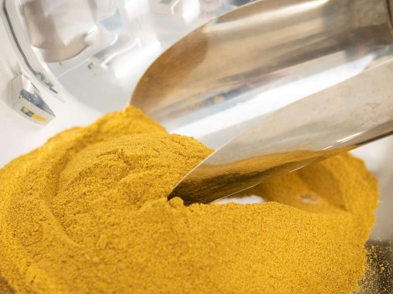 Buy Wheat Grains Wholesale