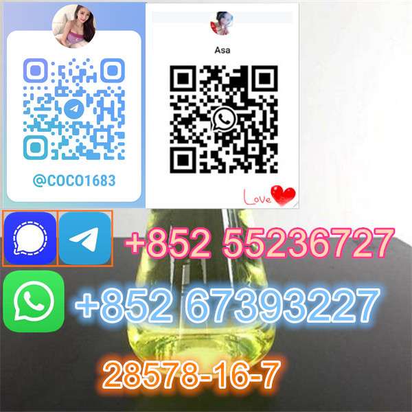 Pmk Powder Pmk Oil High Purity Cas 28578-16-7