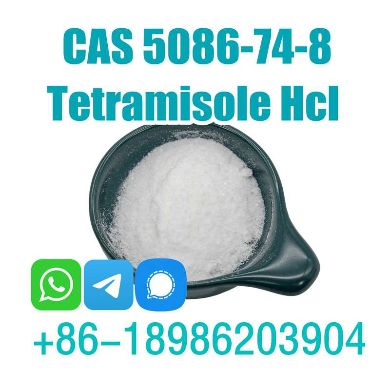 Tetramisole Cas 5086-74-8 Tetramisole Hydrochloride Tetramisole Hcl