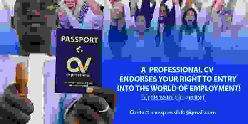 cv writing professionals