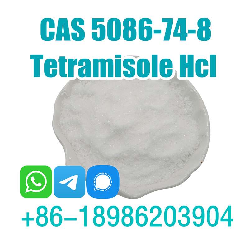 Tetramisole Cas 5086-74-8 Tetramisole Hydrochloride Tetramisole Hcl