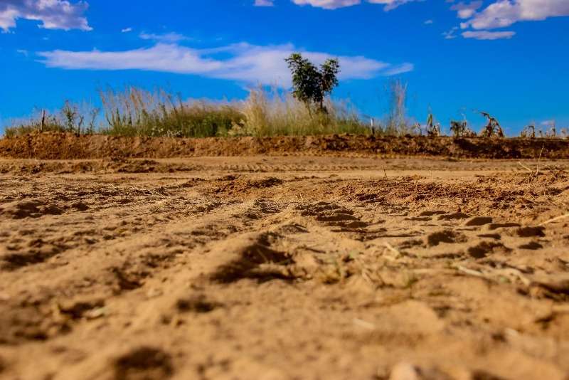 Cloverdale Residential Stands