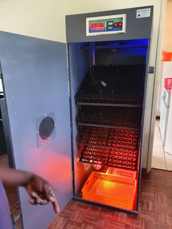 Manual And Automatic Machines, Solar And Electric Powered Incubators.