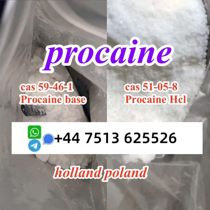 Cas 59-46-1 Procaine Base Powder Procaine Hcl Safe Ship To Holland Poland