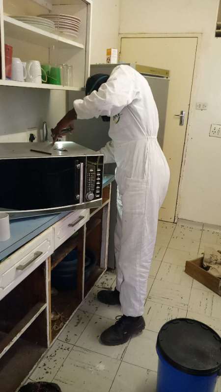 View 3 of Pest Control Services