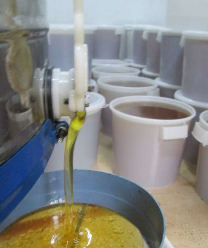 Raw Honey Both Combed & Liquid At Retail & Wholesale Prices