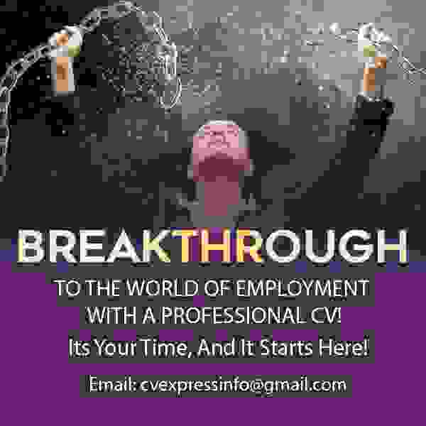 cv writing professionals