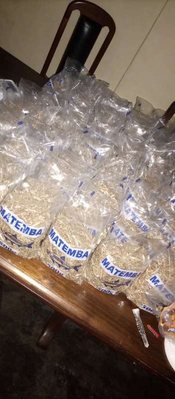 Kariba kapenta 500g