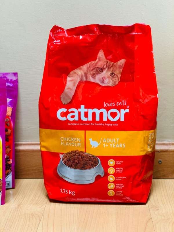 Cheap Cat Food