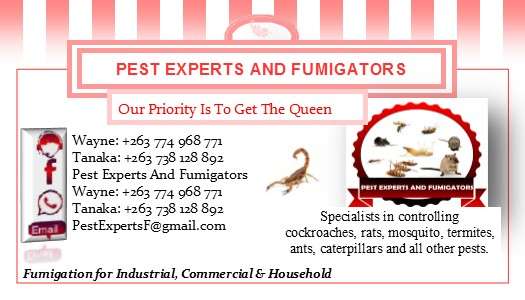 business cards designing