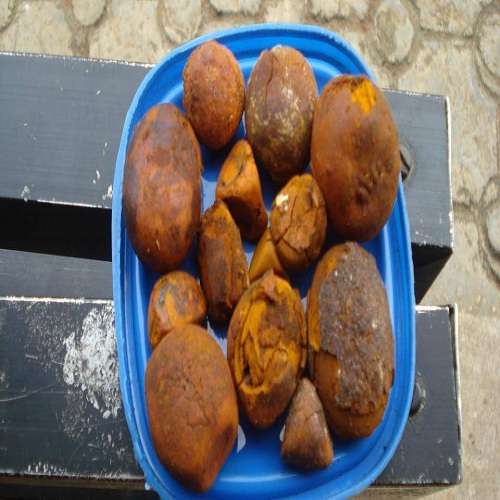Cow / Ox / Cattle Gallstones/gallstones 80/20 Cow Ox Cattle Gallstones For Sale