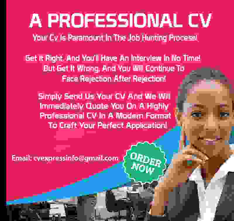 cv writing professionals