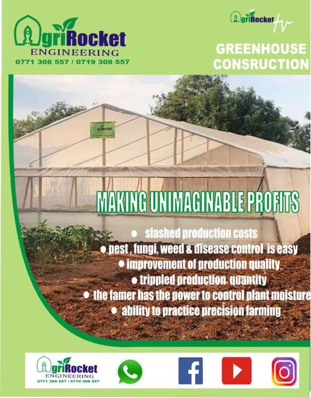 Greenhouse Construction 300sqm