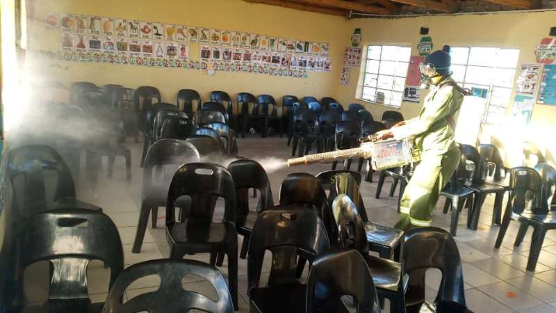 Pest Control Services