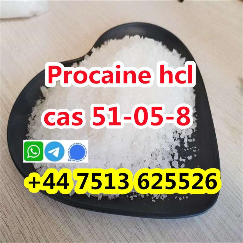 High Purity Cas 51-05-8 Procaine Hcl Procaine Hydrochloride