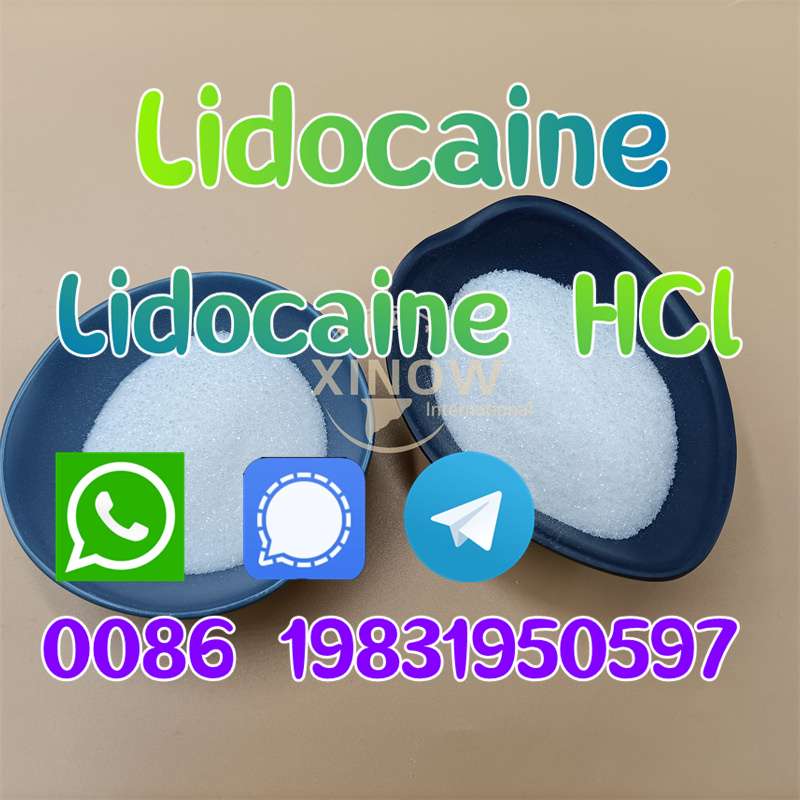 Australia Wholesale Pure Cas 137-58-6  Lidocaine Powder Price