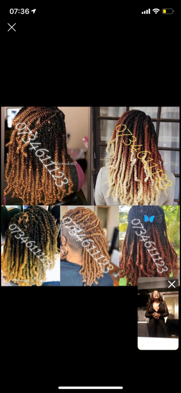 Spring Twists