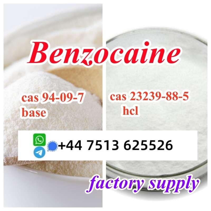 Cas 94-09-7 Benzocaine Base Powder Cas 23239-88-5 Benzocaine Hcl High Purity