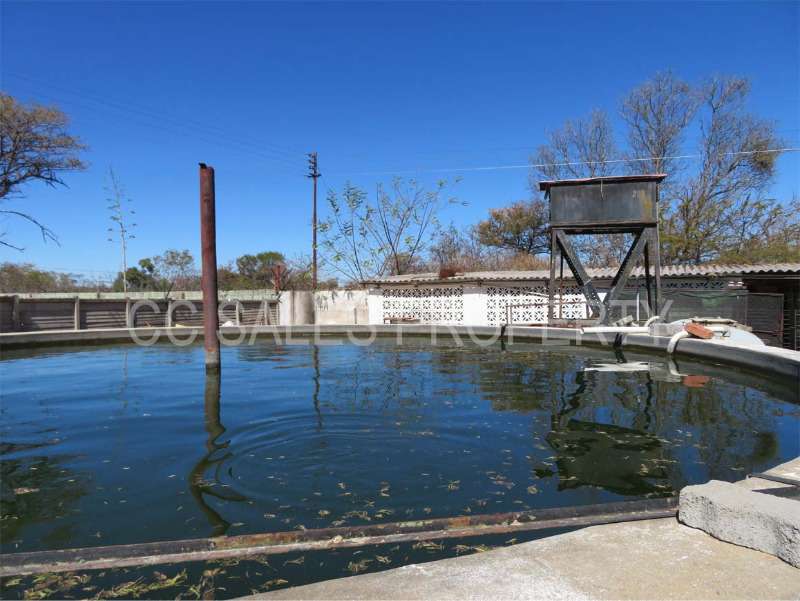 Property In Burnside Bulawayo