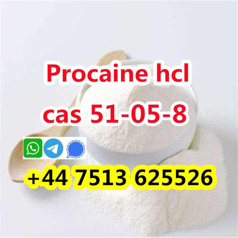 High Purity Cas 51-05-8 Procaine Hcl Procaine Hydrochloride