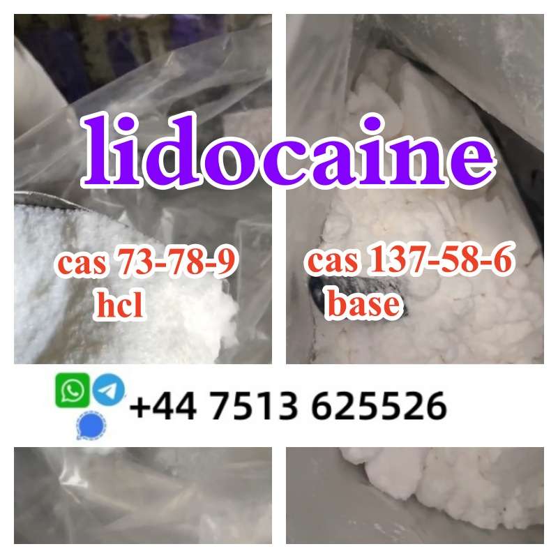 High Quality Cas 137-58-6 Lidocaine Base Cas 73-78-9 Lidocaine Hcl Global Ship