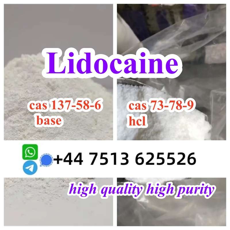 High Quality Cas 137-58-6 Lidocaine Base Cas 73-78-9 Lidocaine Hcl Global Ship