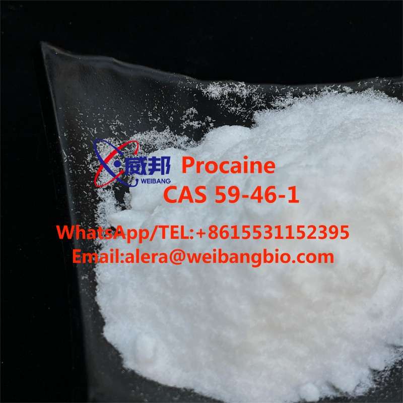 Supply High Quality Procaine Cas 59-46-1