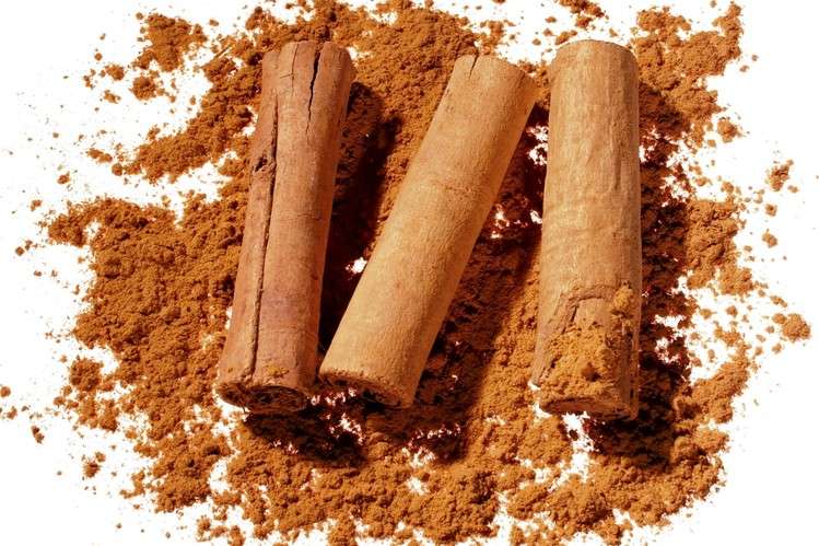 Cinnamon Spice For Sale